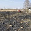 В Дрибинском районе скончалась пенсионерка, получившая ожоги при сжигании сухой травы