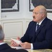 А. Лукашенко: Если оппоненты хотят «перевернуть страну», надо приходить и бороться на президентских выборах