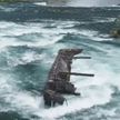 Судно, затонувшее более века назад, сползает в Ниагарский водопад