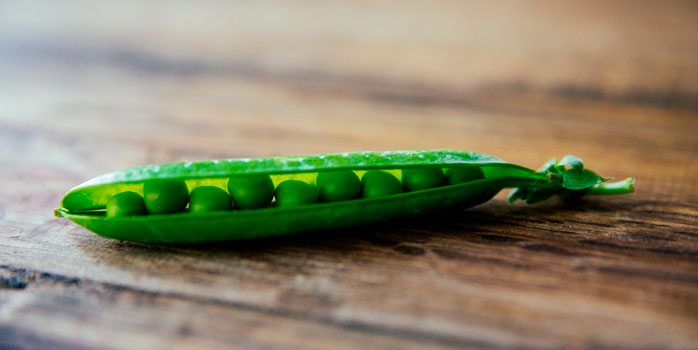 Какие овощи можно первыми посеять весной