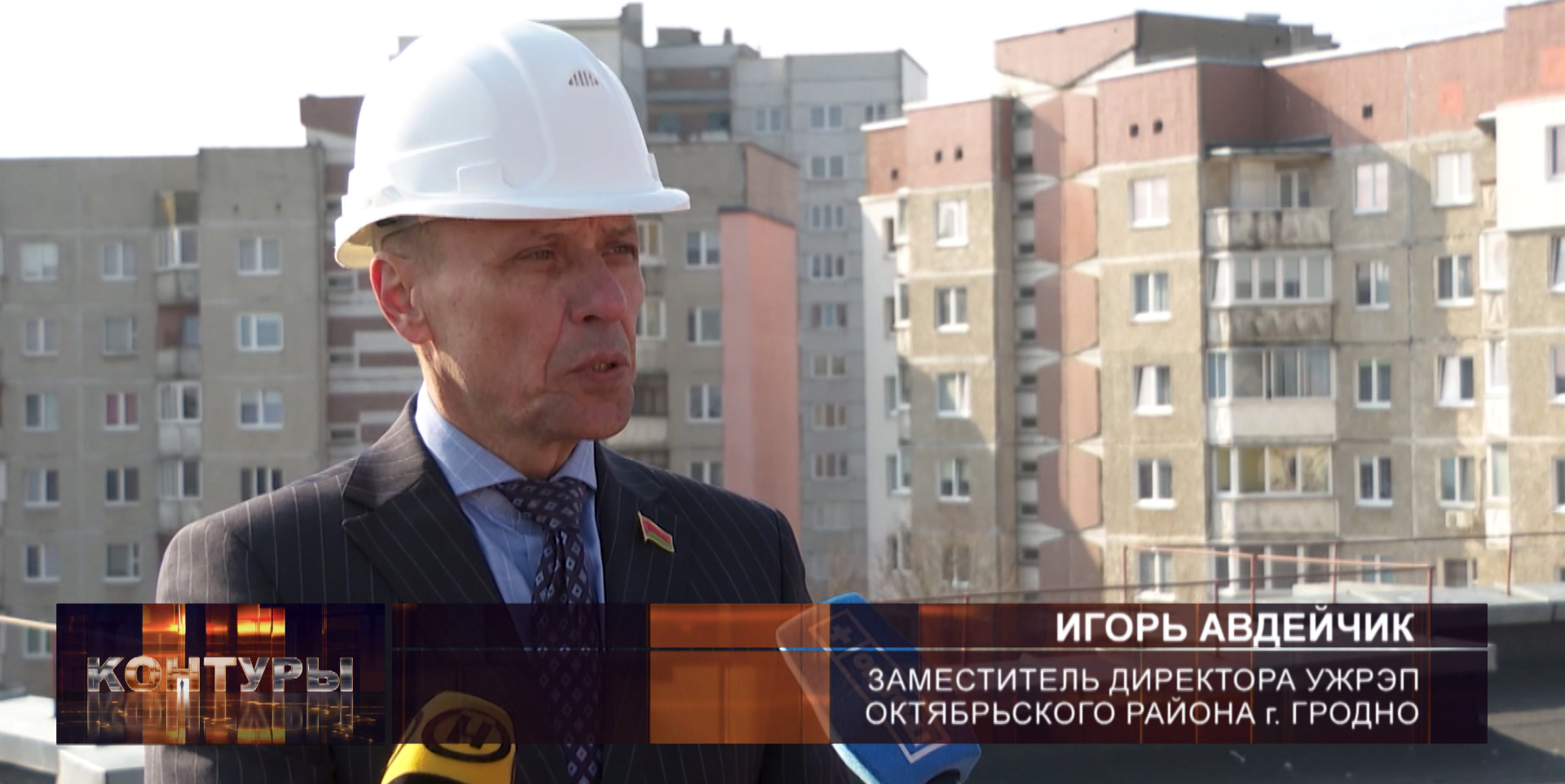 чайки в Гродно