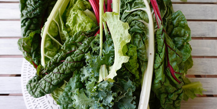 Какие овощи можно первыми посеять весной