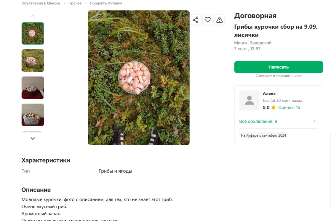 Где в Минске купить грибы и не переплатить: на рынке или по объявлениям