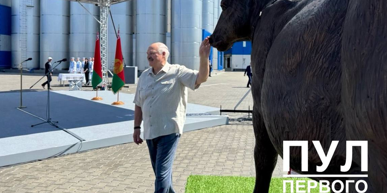Александр Лукашенко и памятник корове