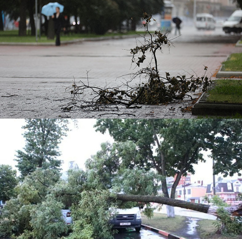последствия непогоды в Беларуси