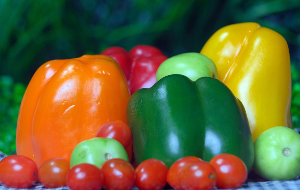 A macro food photography shot of vibrant bell peppers and cherry tomatoes. In the center, large glossy orange, dark green, and bright yellow bell peppers are arranged closely together. In the foreground, a row of small, ripe red cherry tomatoes and a few small unripe green tomatoes are lined up on a checkered tablecloth. The background is a soft, blurry dark green foliage. Natural studio light, rich colors, cinematic lighting, shallow depth of field, clear focus on the vegetables, photorealistic