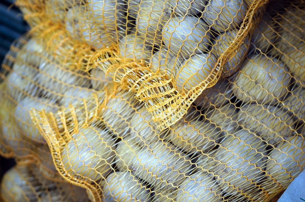 A close-up shot of raw, unpeeled potatoes packed in bright orange mesh storage sacks. Natural lighting illuminating the texture of the potato skin and the plastic netting. Shallow depth of field, agricultural harvest background, realistic textures, high detail, 4k.