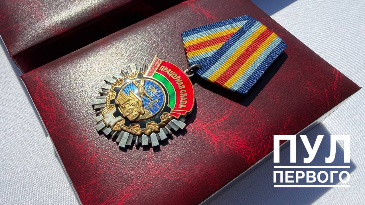 орден Трудовой Славы 