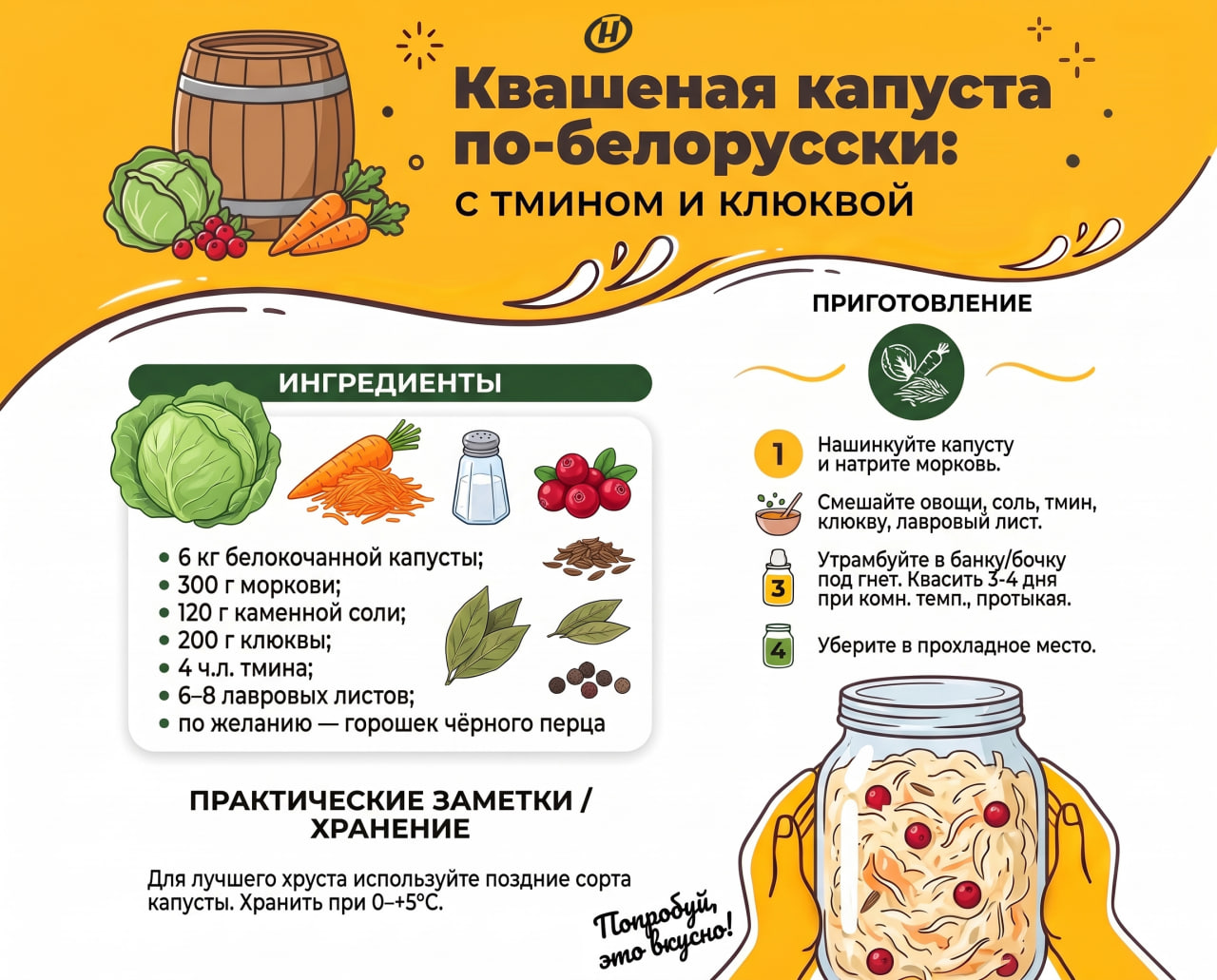 Инфографика с рецептом квашеной капусты по‑белорусски: в верхней части - заголовок на жёлтом фоне с иллюстрациями бочки, капусты, моркови и клюквы; ниже - блоки с ингредиентами, пошаговым приготовлением и рекомендациями по хранению; справа - изображение банки с готовой капустой в руках.