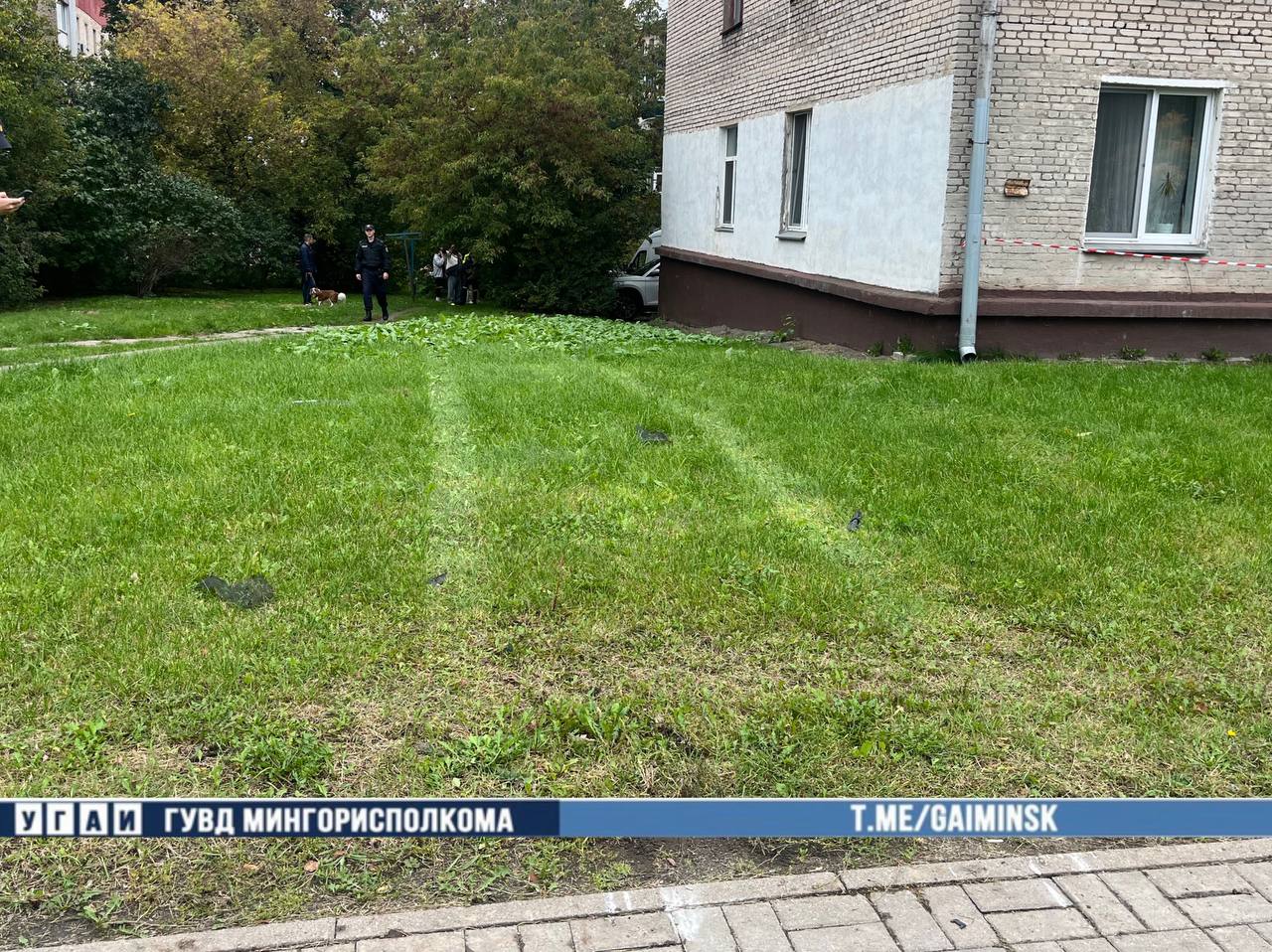 Две четкие параллельные полосы примятой травы, оставленные колесами автомобиля, тянутся через зеленый газон во дворе жилого дома мимо торца кирпичного здания. На заднем плане среди деревьев видны сотрудники милиции и прохожие, а внизу кадра расположена плашка ГАИ Минска.
