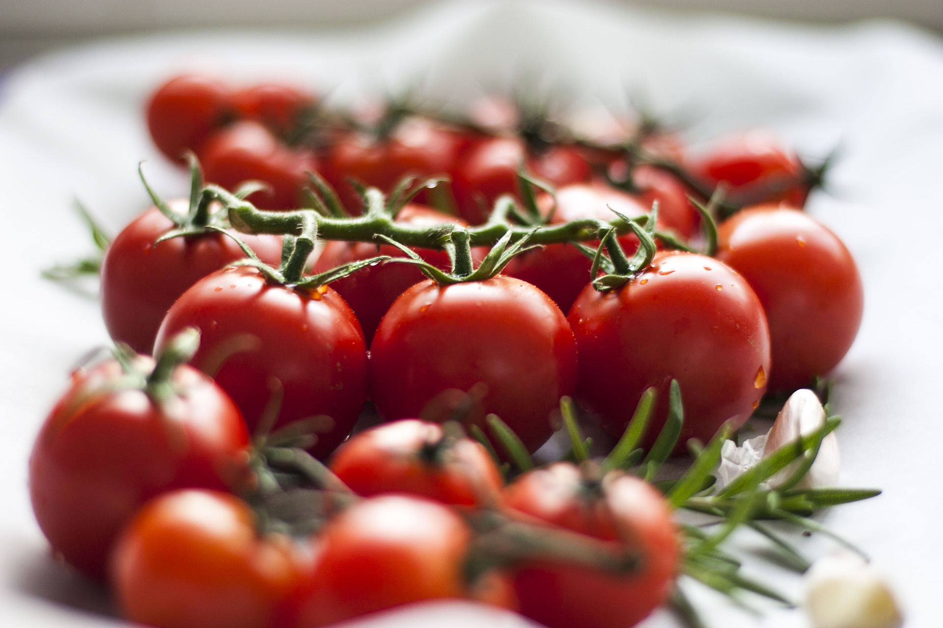 Почему хочется помидоров? Свойства продукта и его польза для организма