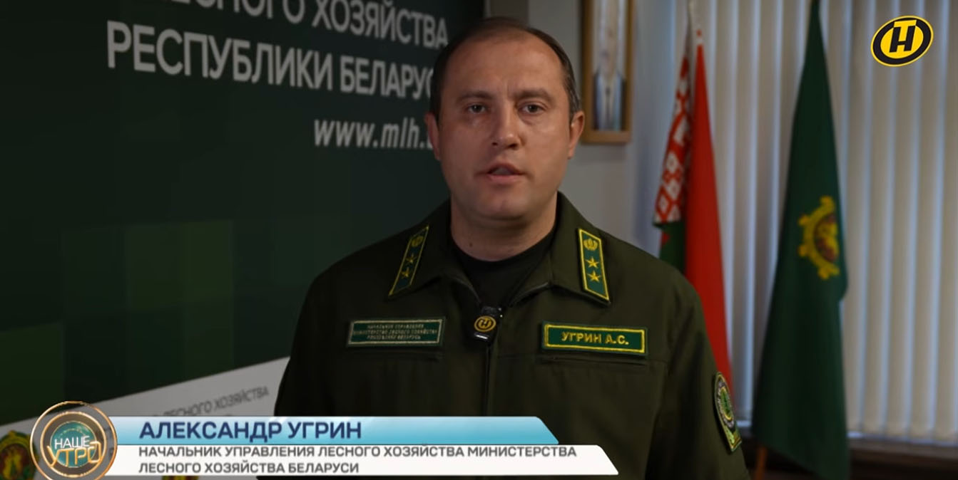 специалист из Минлесхоза рассказывает ,где взять разрешение на заготовку дров в лесу