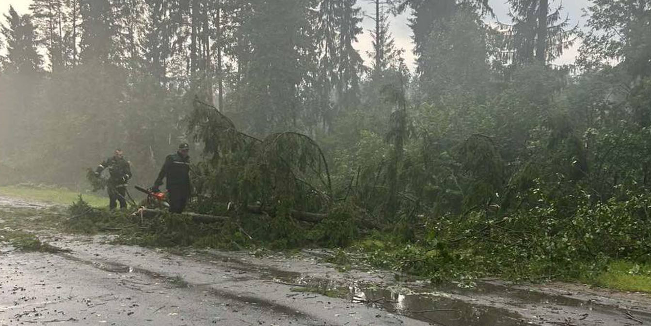 последствия сильного ветра на МИнщине