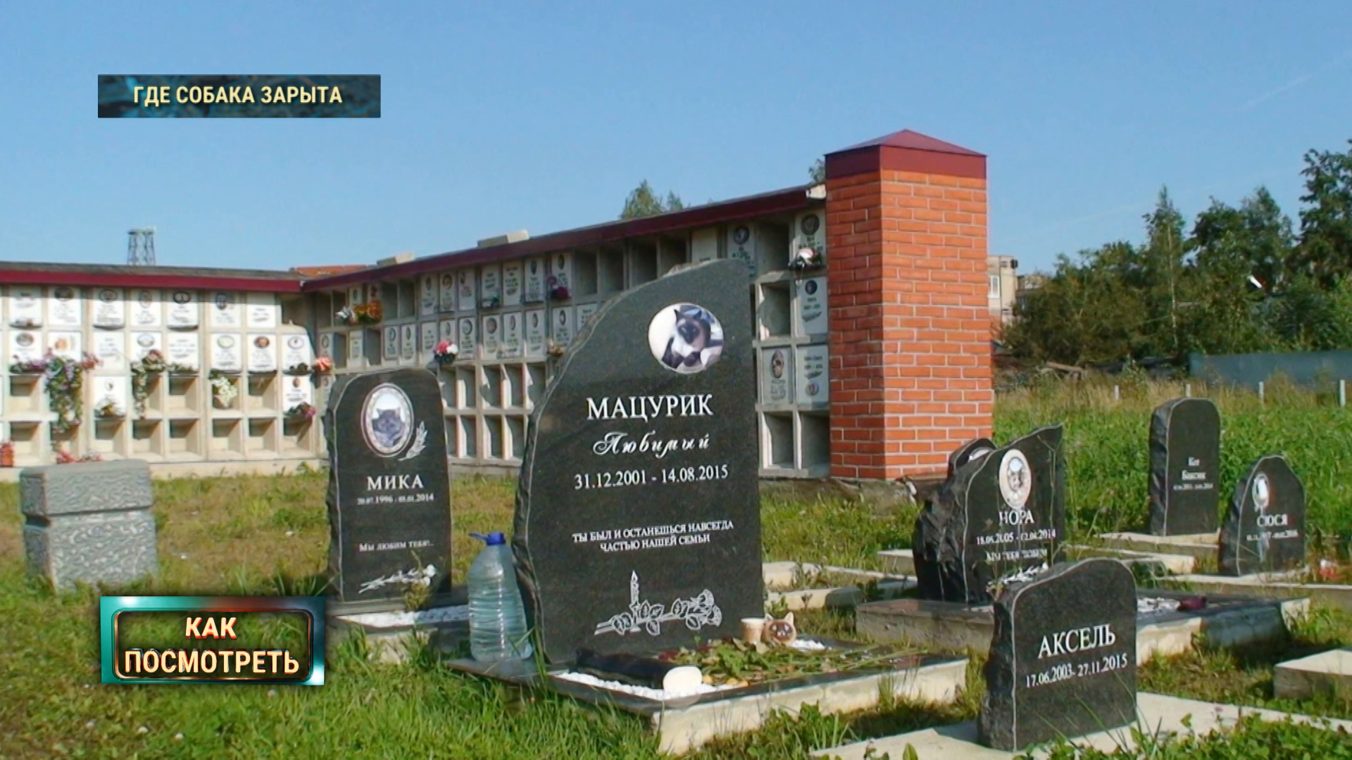 кладбище домашних животных в москве и в санкт-петербурге
