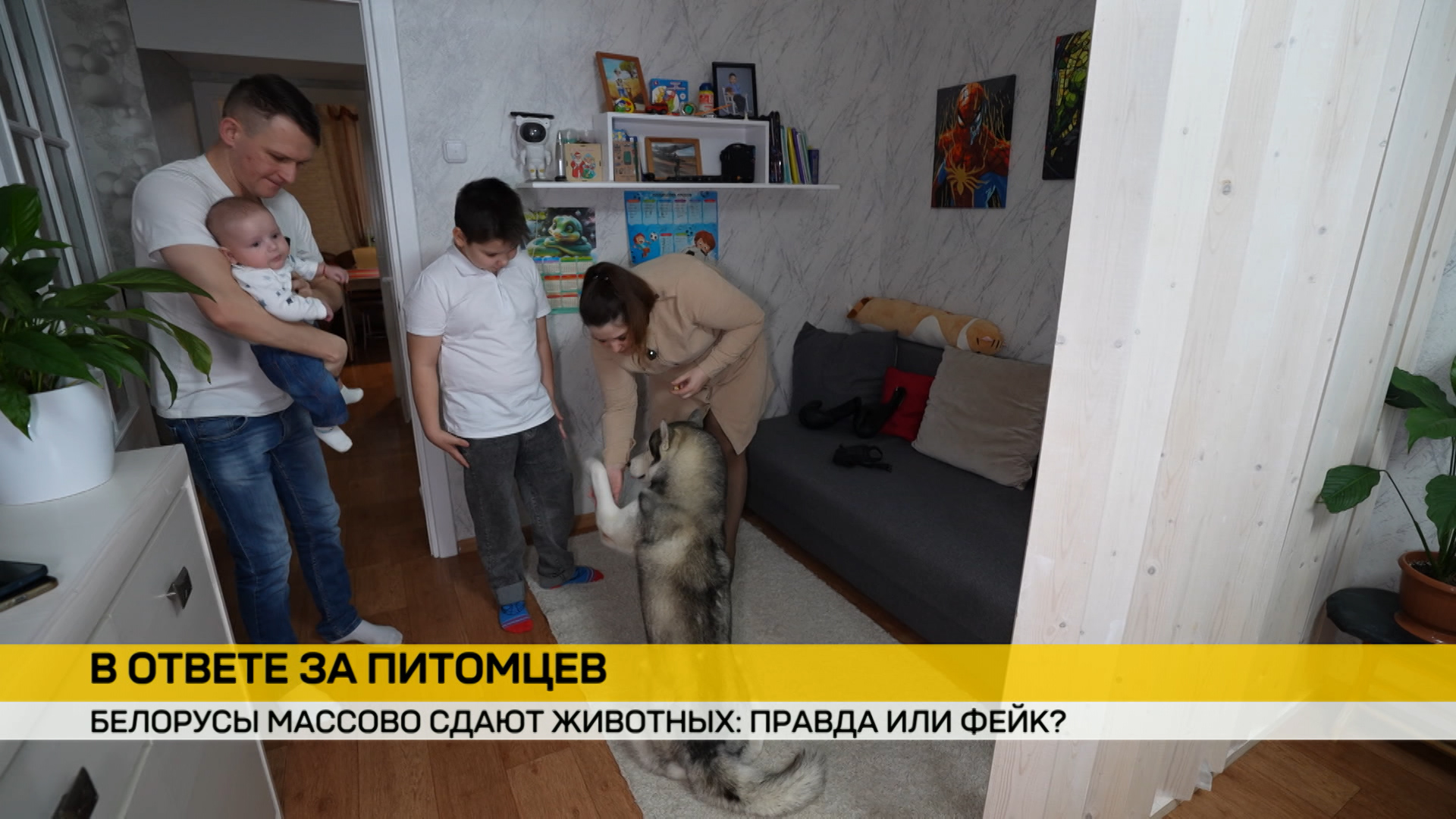 С 1 июля регистрация четвероногих в Беларуси станет обязательной